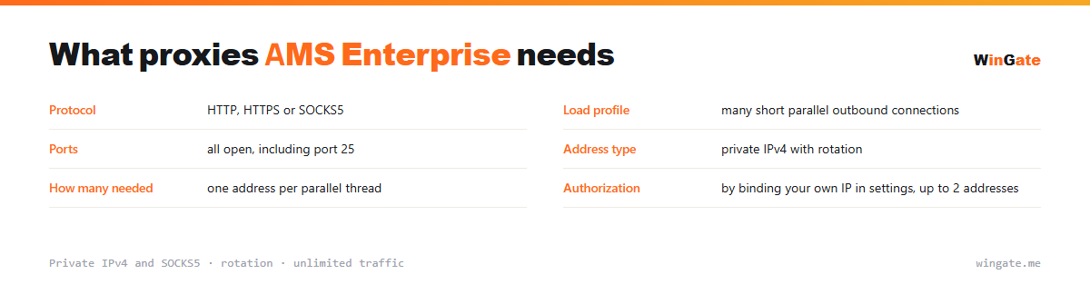 Proxies for AMS Enterprise — parameter card: load profile, ports, address type, how many needed