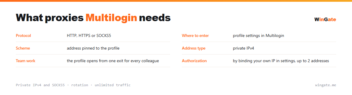 Proxies for Multilogin — parameter card: where to enter, scheme, address type, team work